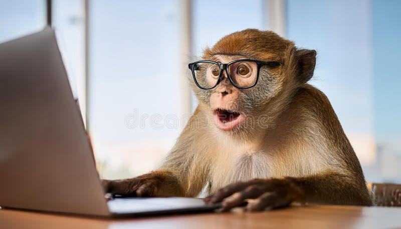 Jak wcisnąć małpę w laptopie Dell