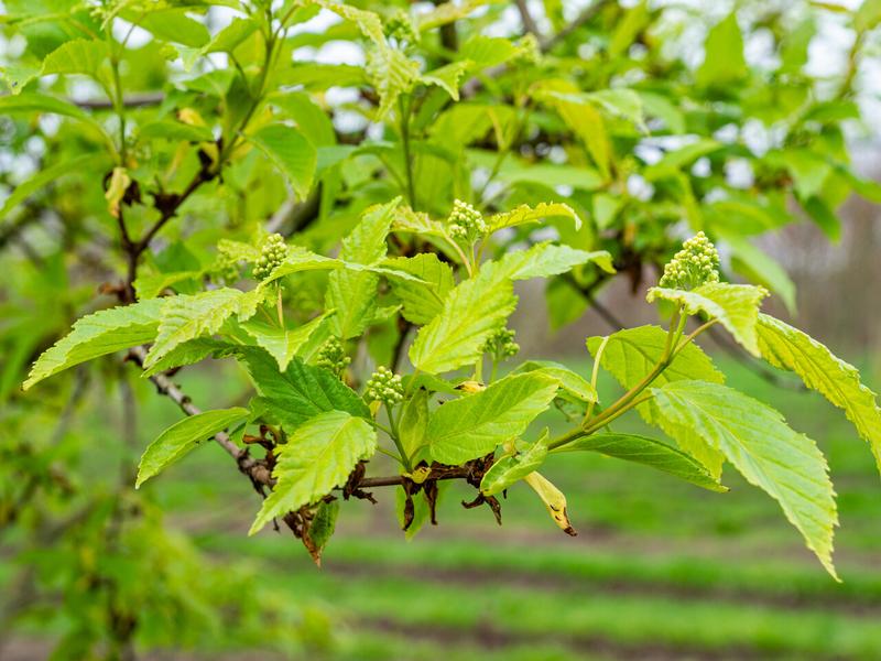Pierwsze uruchomienie laptopa Acer