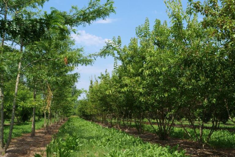 Co robić, gdy klawiatura w laptopie Acer nie działa?